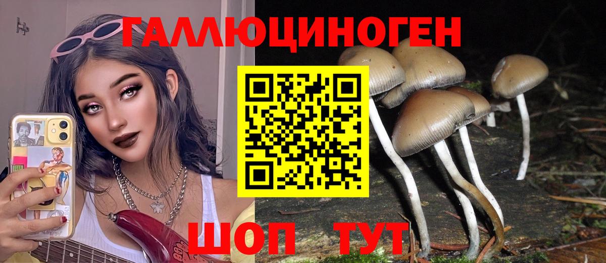 Серов  Галлюциногенные грибы Cubensis  Вход с VPN  где найти   Псилоцибиновые грибы MAGIC MUSHROOMS 